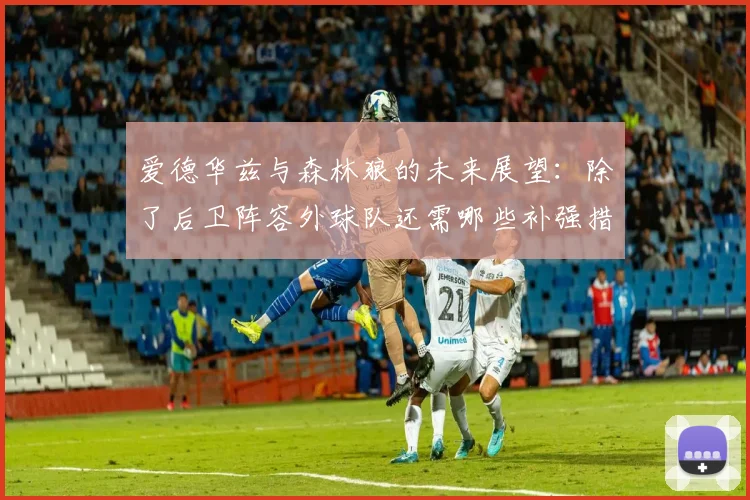 爱德华兹与森林狼的未来展望：除了后卫阵容外球队还需哪些补强措施