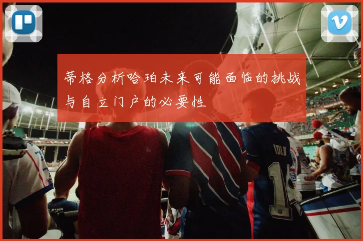 蒂格分析哈珀未来可能面临的挑战与自立门户的必要性