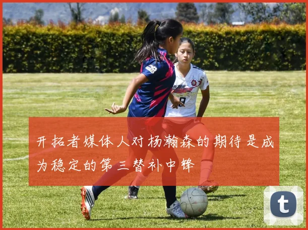 开拓者媒体人对杨瀚森的期待是成为稳定的第三替补中锋